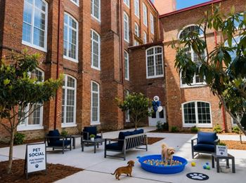 Pet-friendly community